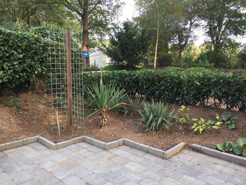 Rumah Kita, Bungalow Met 2 Slaapkamers In Het Mooie Drenthe Erm Eksteriør billede
